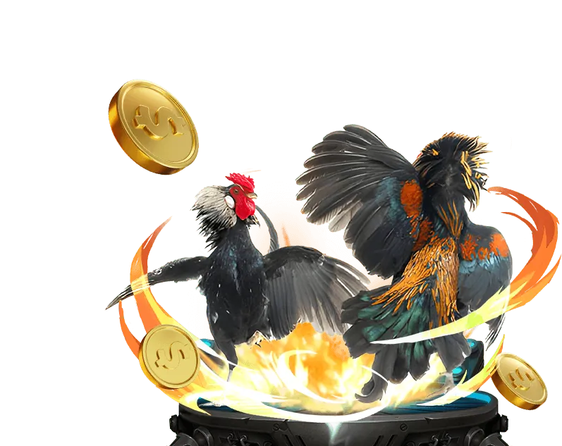 Nền tảng trực tiếp đá gà chất lượng cao của BetKing